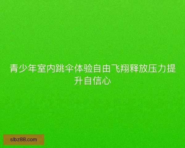 青少年室内跳伞体验自由飞翔释放压力提升自信心