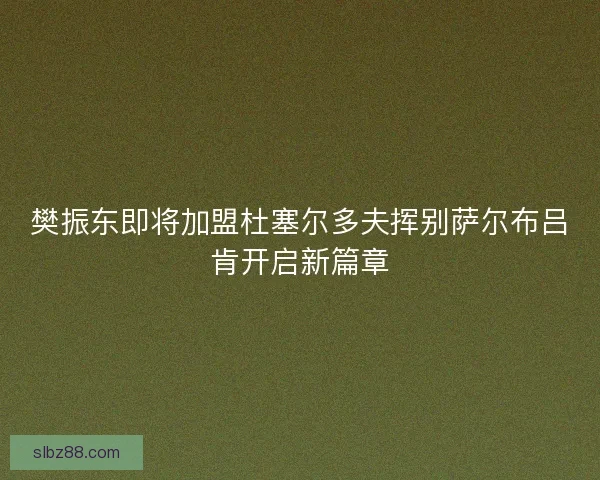 樊振东即将加盟杜塞尔多夫挥别萨尔布吕肯开启新篇章